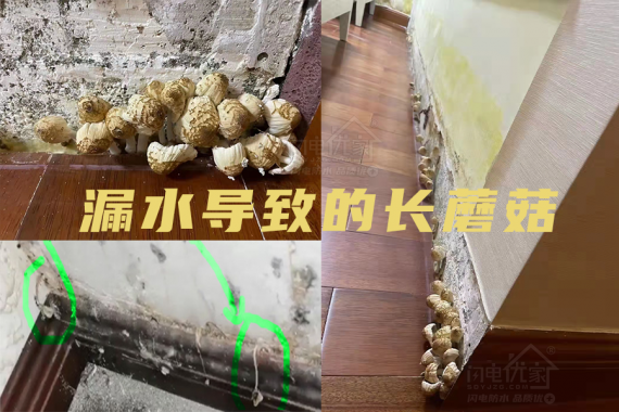 衛(wèi)生間漏水維修必看的防水知識(shí)科普！